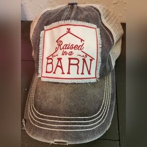 Raised in a Barn Distressed Gray Cap